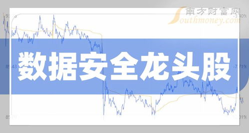 中國數(shù)據(jù)安全龍頭股名單 聚焦網(wǎng)絡(luò)與信息安全軟件開發(fā)企業(yè)